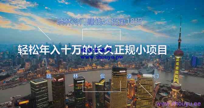 晓林冷门赚钱36招第18招轻松年入十万的长久正规小项目【视频课程】