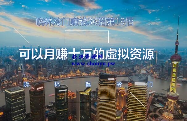 晓林冷门赚钱36招第19招可以月赚十万的虚拟资源项目【视频课程】