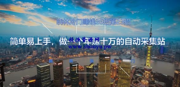 晓林冷门赚钱36招第23招简单易上手，做一个年赚十万的自动采集站【视频课程】