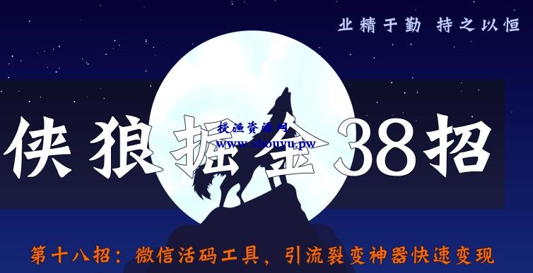 侠狼掘金38招第18招微信活码工具，引流裂变神器快速变现【视频课程】