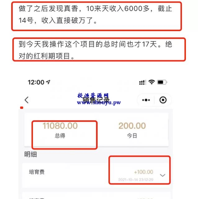 红利期赚钱项目，简单操作，17天收入11000