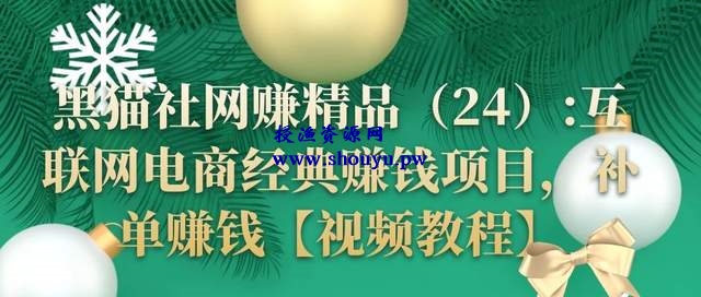 黑猫社网赚精品24：互联网电商经典赚钱项目，补单赚钱【视频教程】