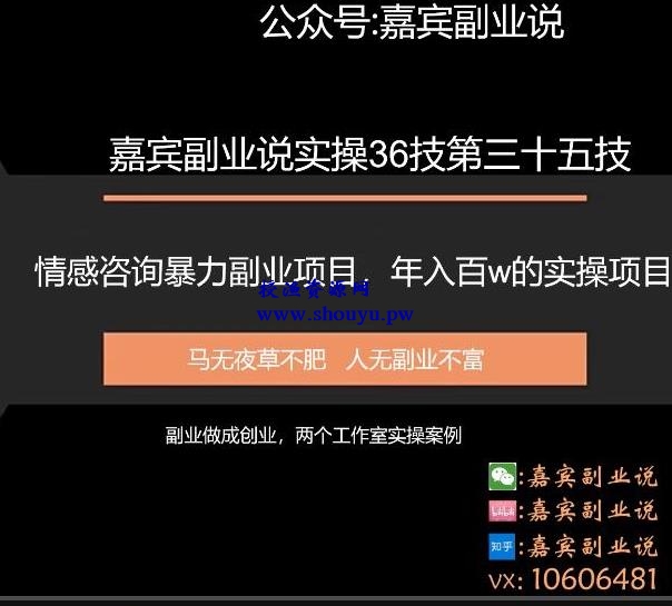 嘉宾副业说实操36技第三十五技：情感咨询暴力副业项目，年入百万的实操项目分享