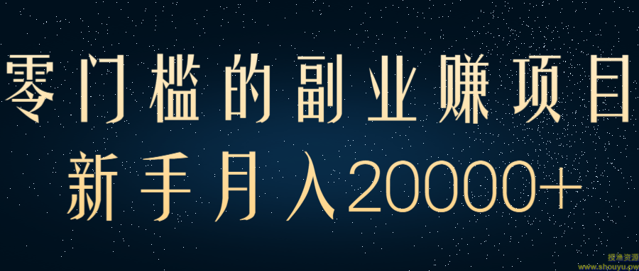 零门槛的副业赚钱项目，新手月入20000+