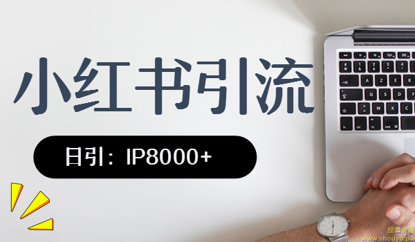 小红书精准引流，日引IP8000多